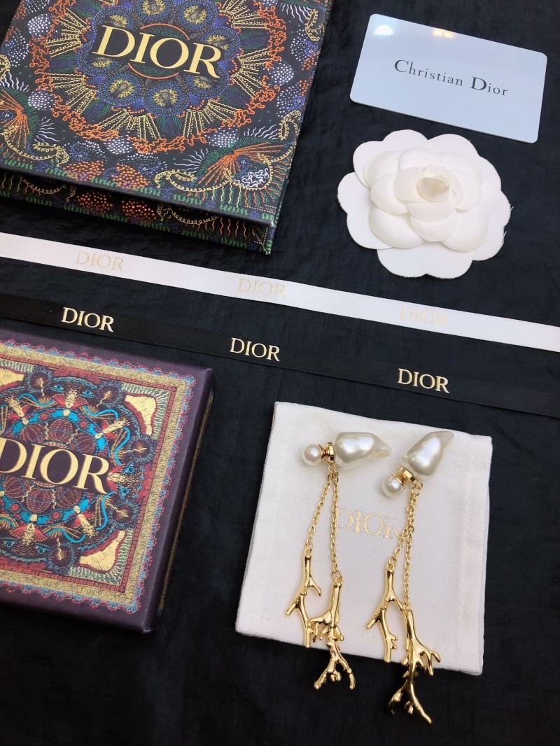 Christian Dior Earrings